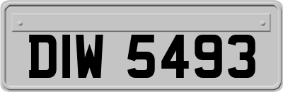 DIW5493