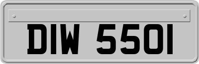 DIW5501