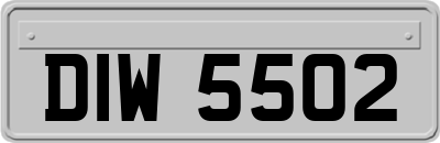 DIW5502
