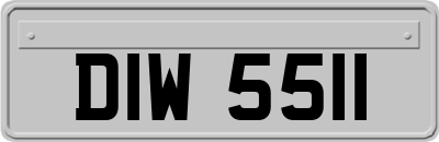 DIW5511
