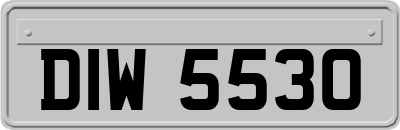 DIW5530