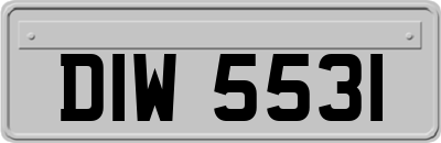 DIW5531
