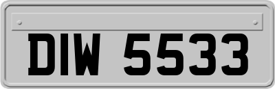 DIW5533