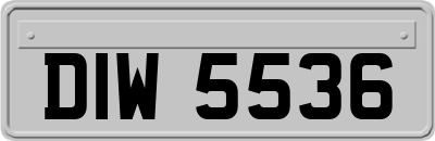 DIW5536