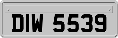 DIW5539