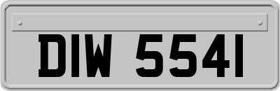 DIW5541