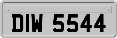 DIW5544