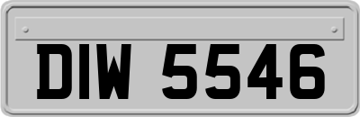 DIW5546