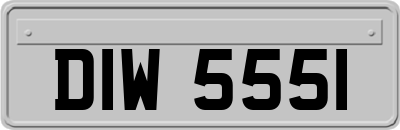 DIW5551