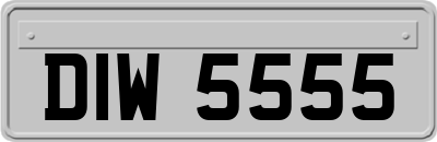 DIW5555