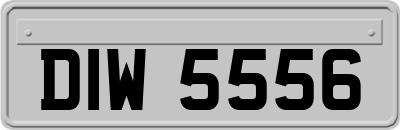 DIW5556