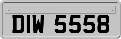 DIW5558