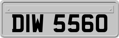 DIW5560