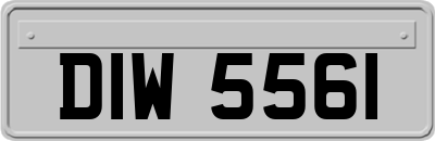 DIW5561