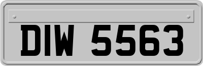 DIW5563