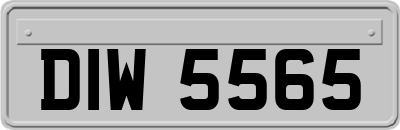 DIW5565