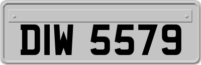 DIW5579