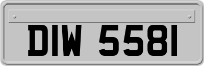 DIW5581