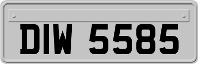 DIW5585