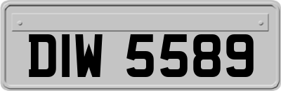 DIW5589