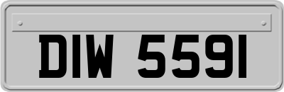 DIW5591