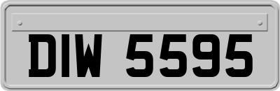 DIW5595
