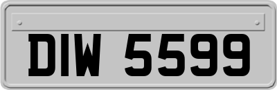 DIW5599