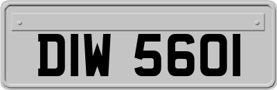 DIW5601