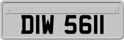 DIW5611
