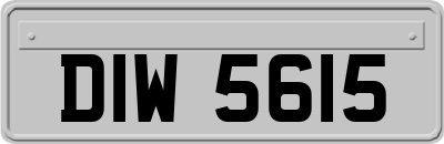 DIW5615