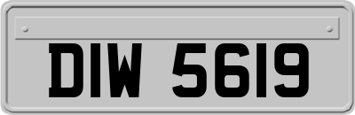 DIW5619