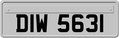 DIW5631