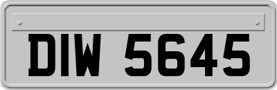 DIW5645