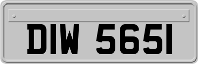 DIW5651