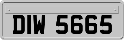 DIW5665
