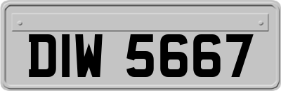 DIW5667