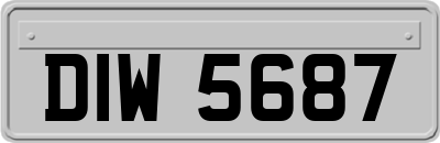 DIW5687