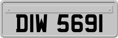 DIW5691
