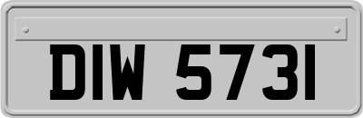 DIW5731