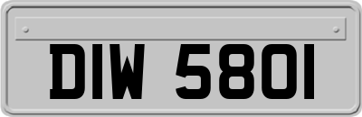 DIW5801
