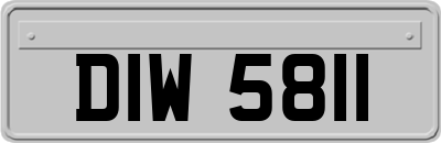 DIW5811