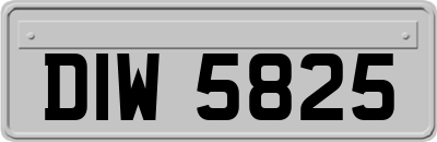 DIW5825