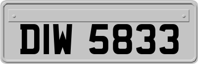 DIW5833