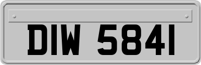 DIW5841
