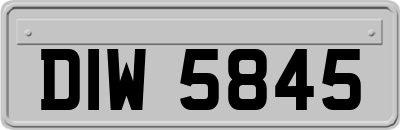 DIW5845