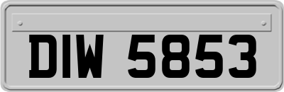 DIW5853