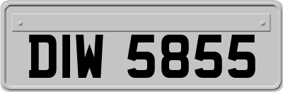 DIW5855