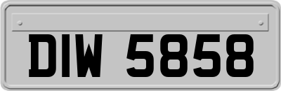 DIW5858