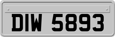 DIW5893