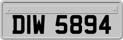 DIW5894
